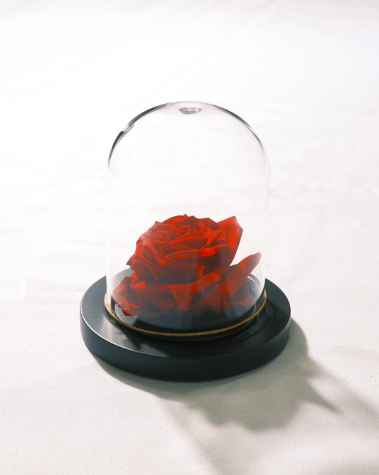 Large Rose Dome