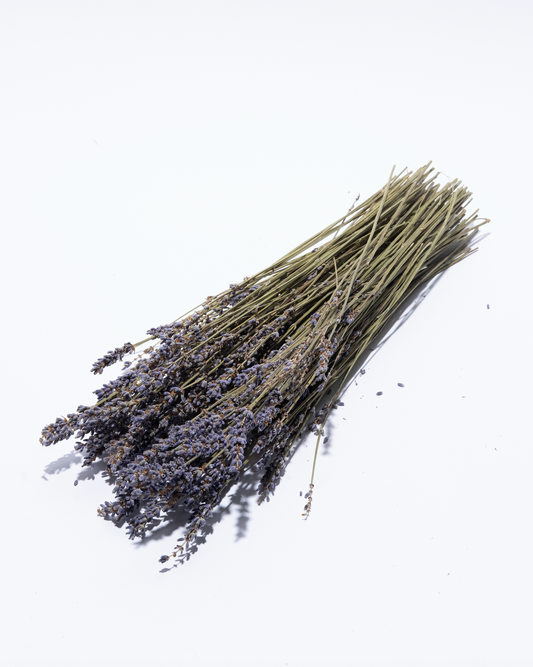 Dried Lavender