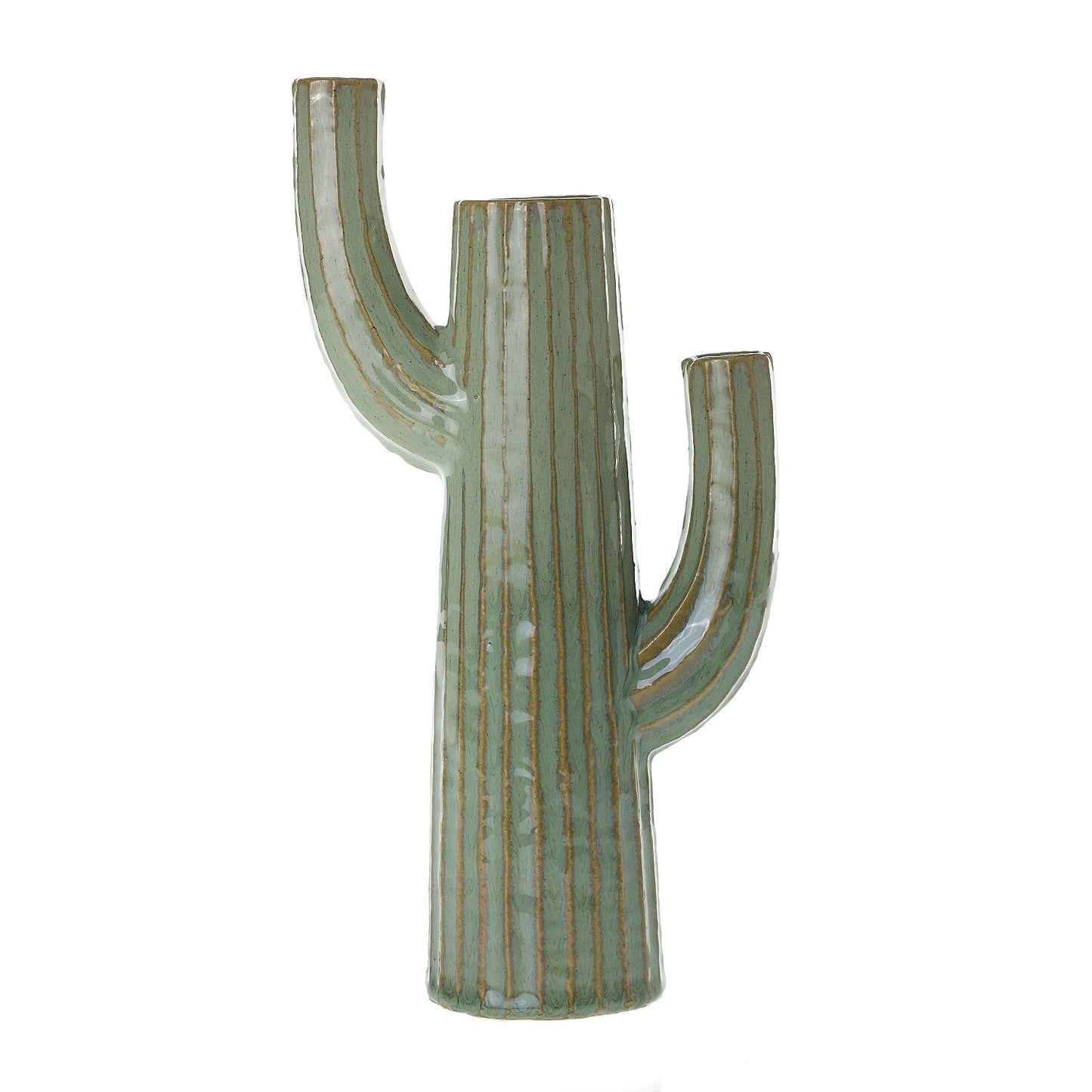 Cacti